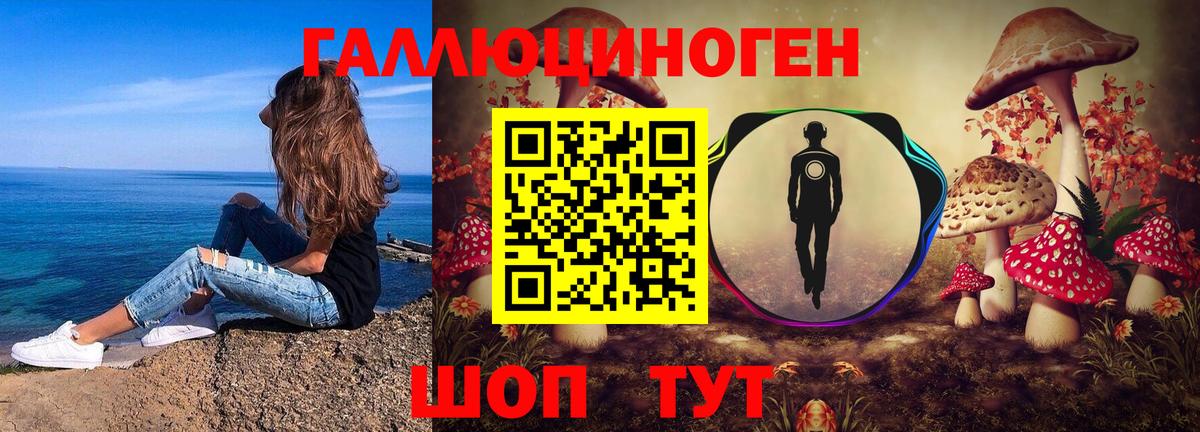 Псилоцибиновые грибы Psilocybine cubensis  купить наркоту  Гай  Вход с VPN  Псилоцибиновые грибы Cubensis 