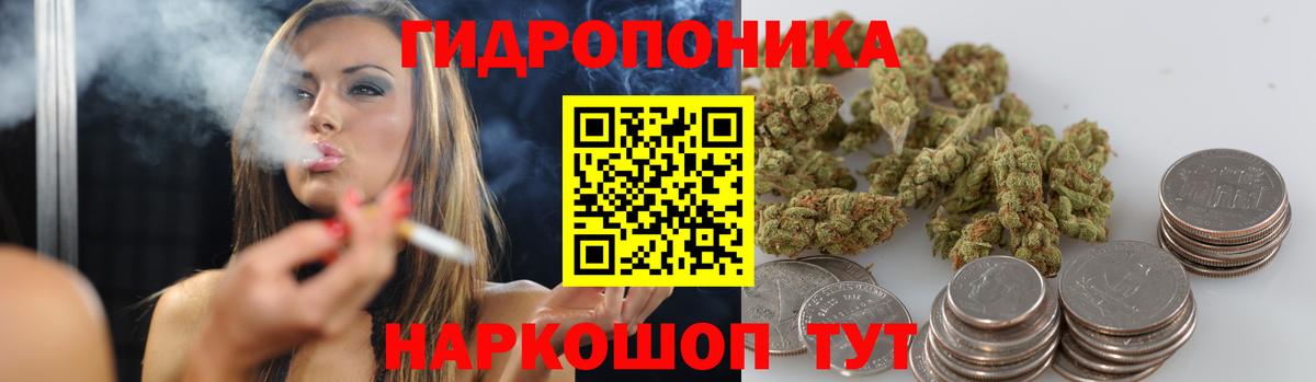 Шишки марихуана план Гай